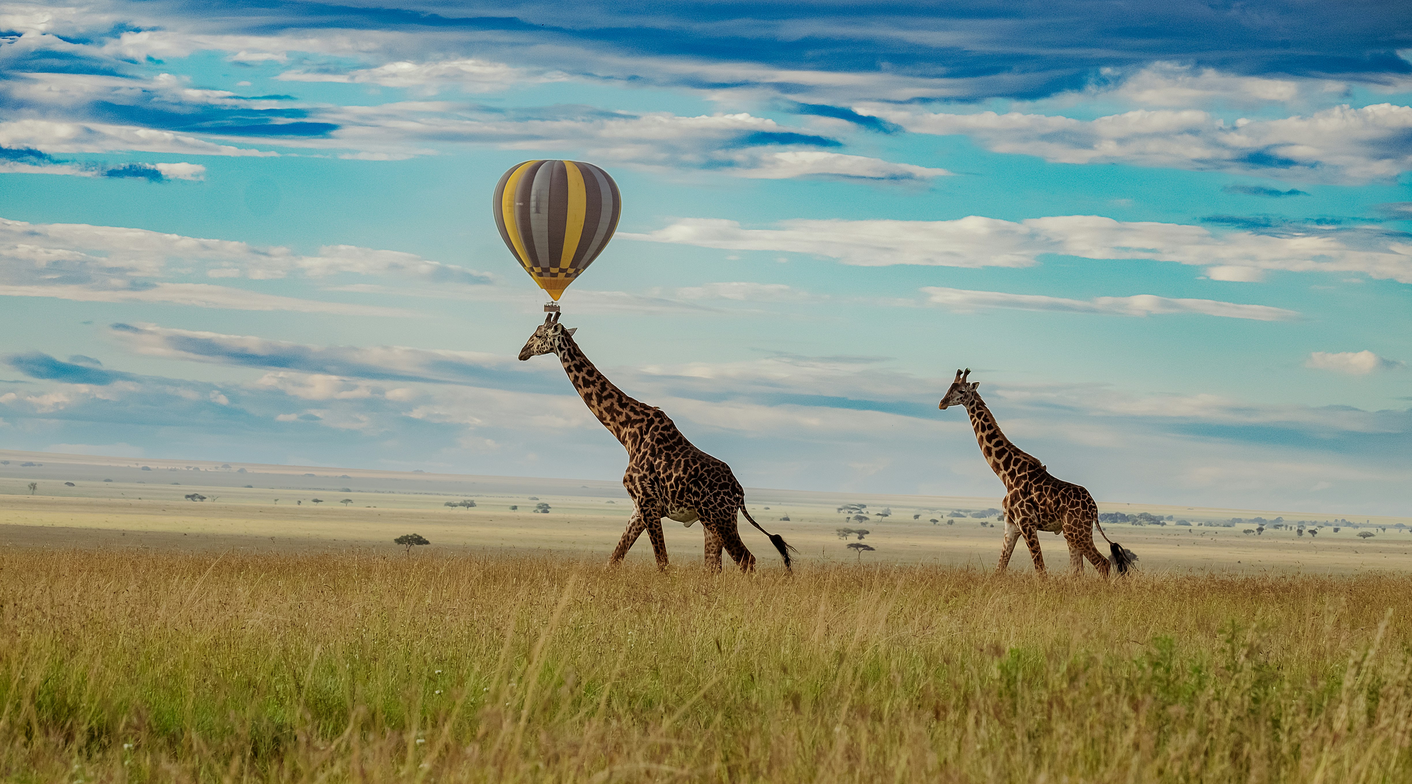 Serengeti National Park